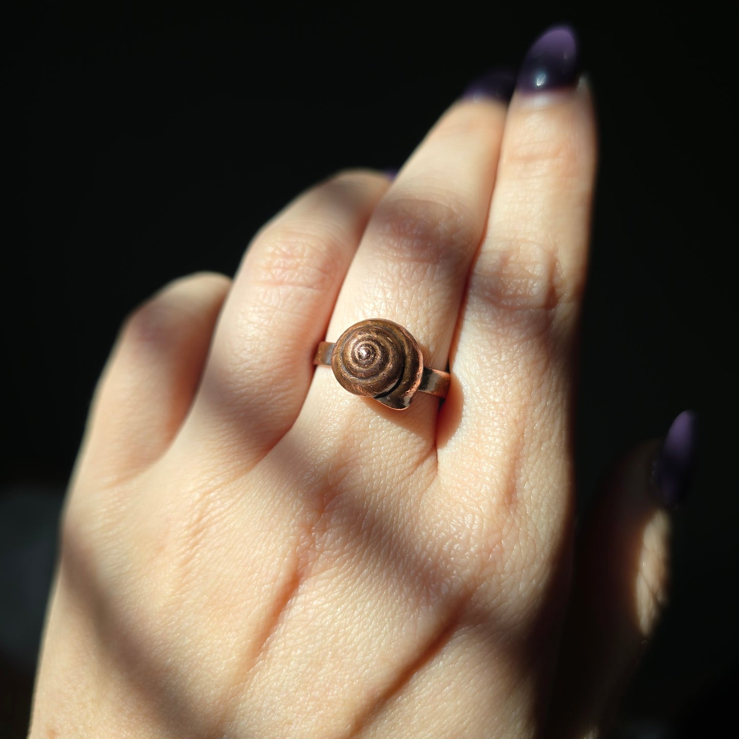 REAL Snail Shell Ring