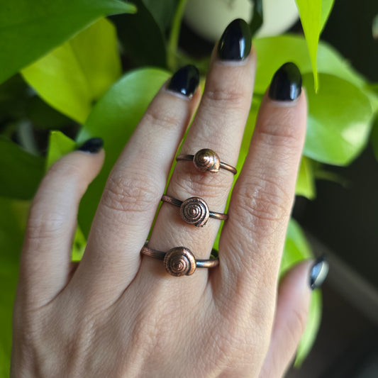 Real Snail Shell Rings - From the Garden