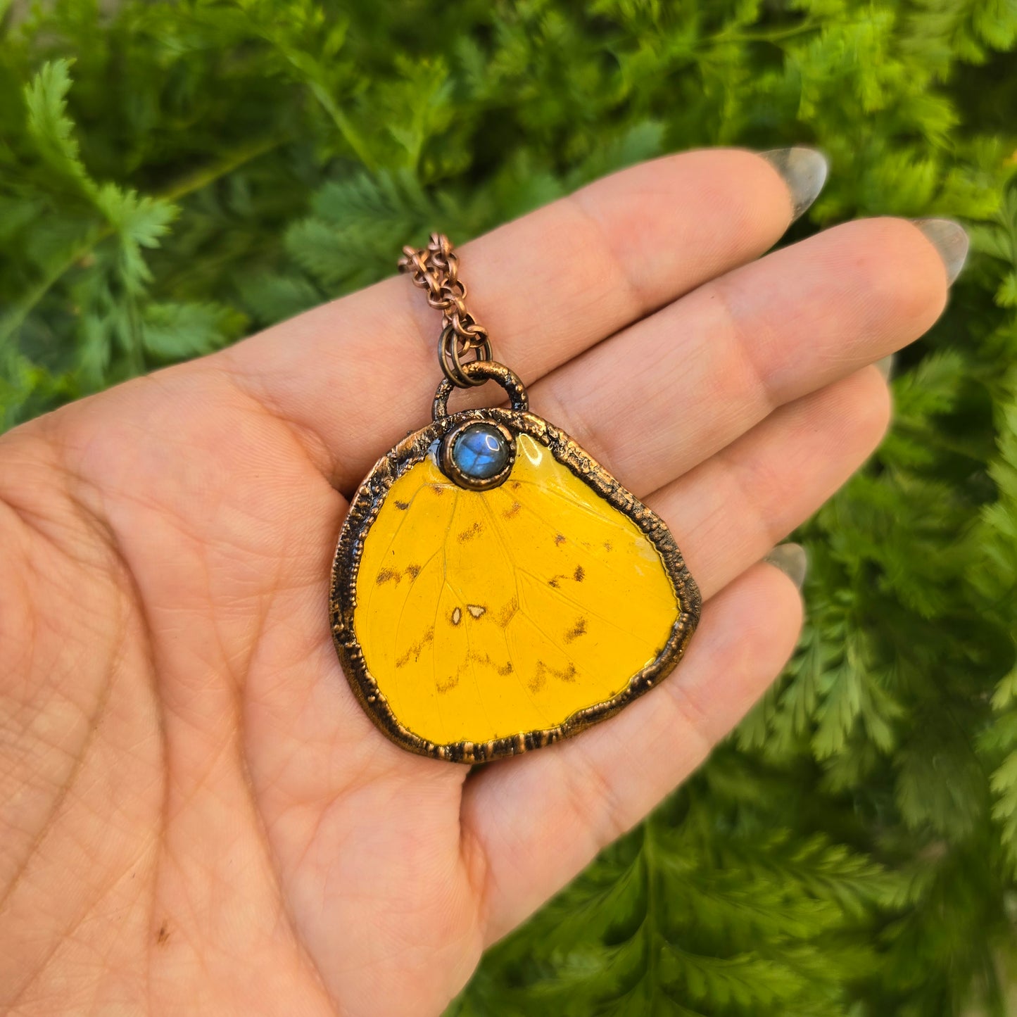 Real Butterfly wings Necklace