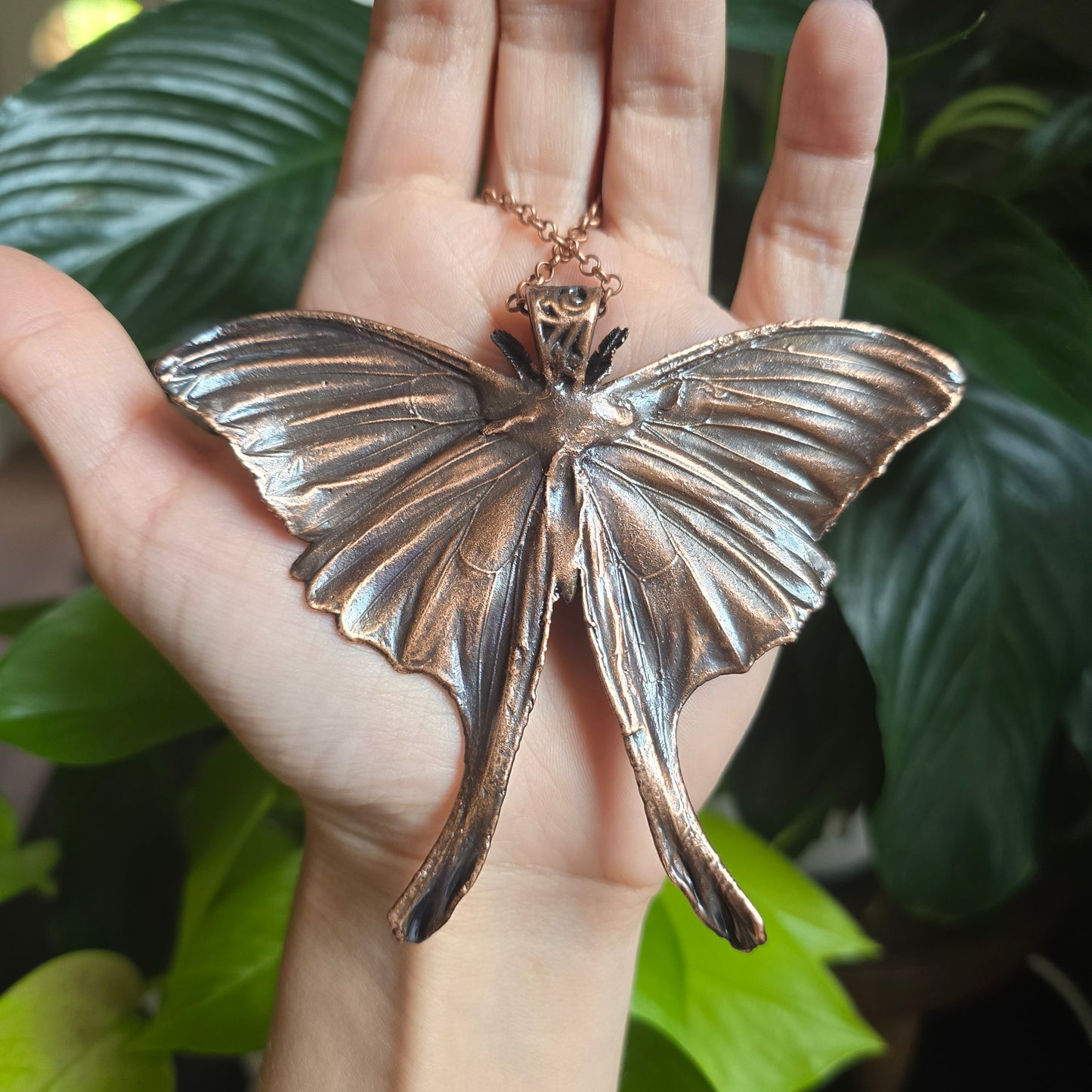 Real Electroformed Luna Moth - From the Garden