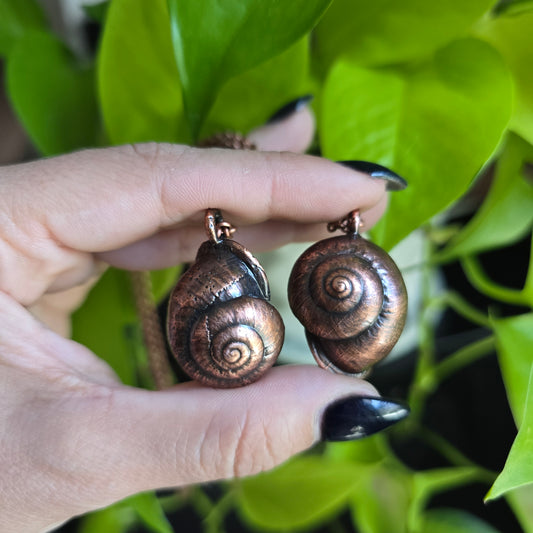 Snail Shell Necklaces - From the Garden