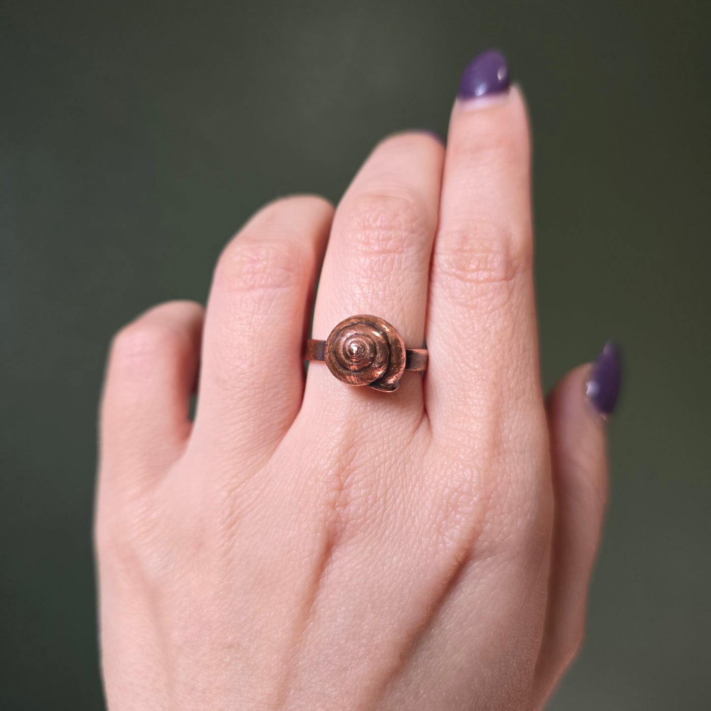 REAL Snail Shell Ring