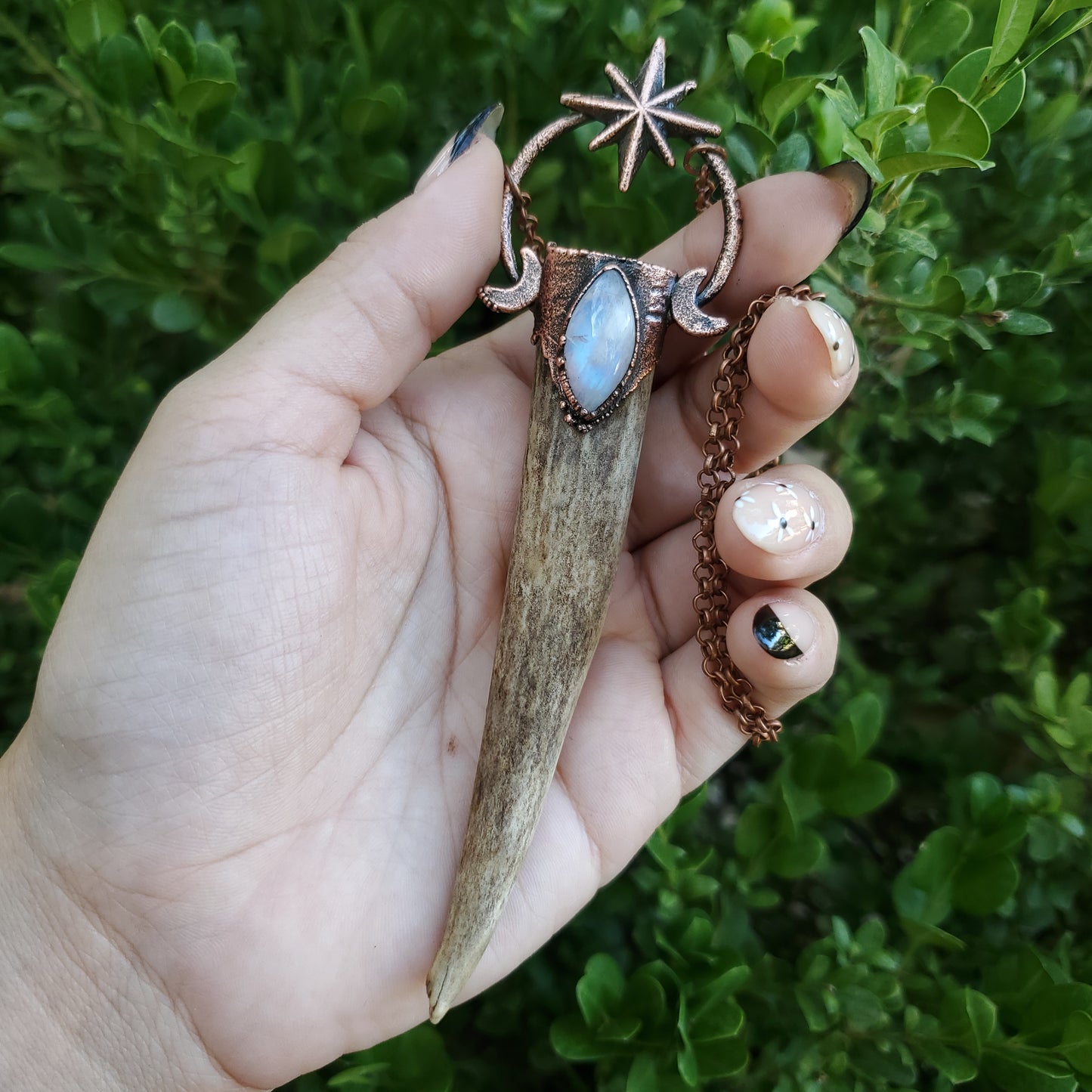 Celestial Moonstone Antler