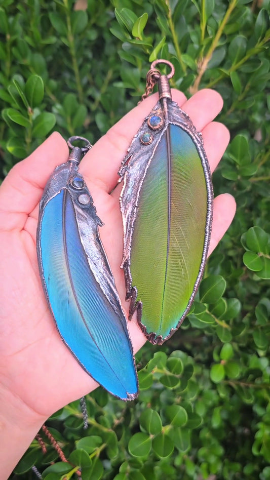 REAL Electroformed Macaw Feather