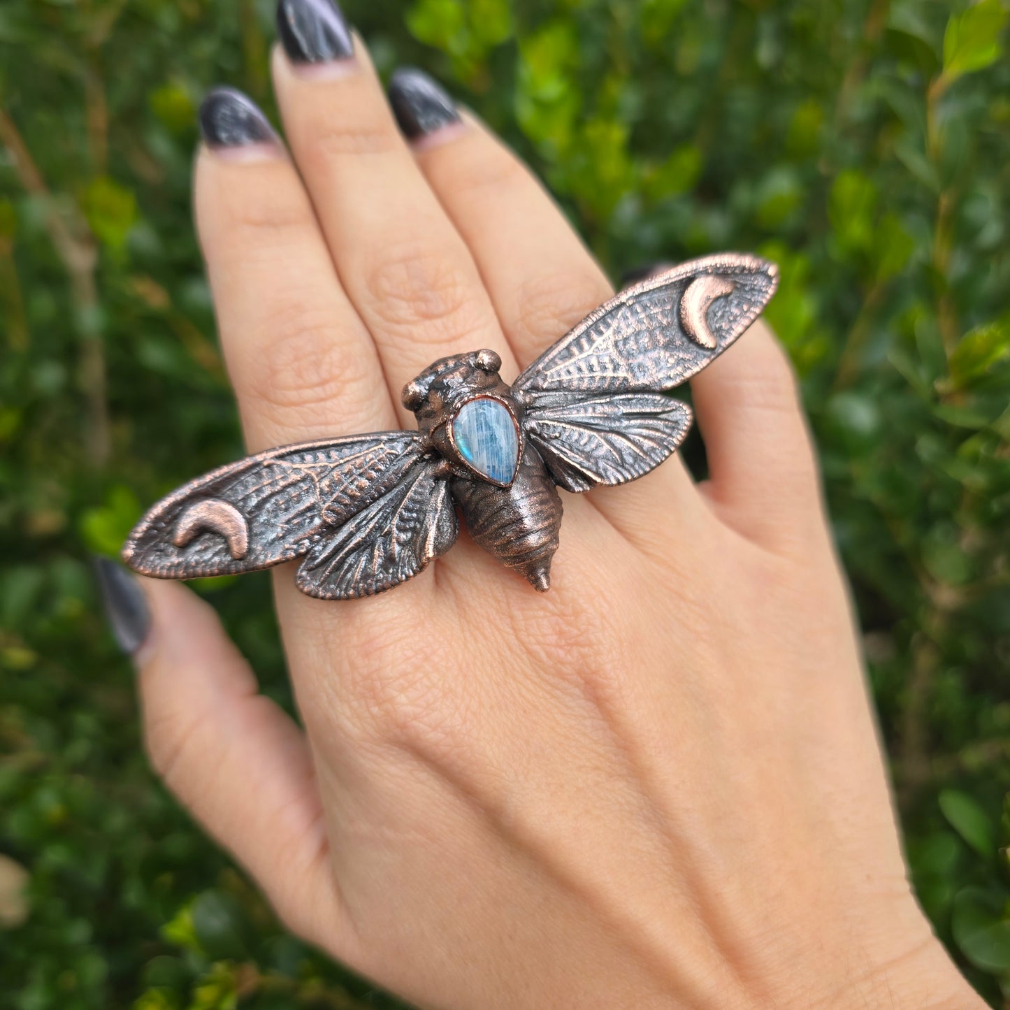 REAL Cicada Ring