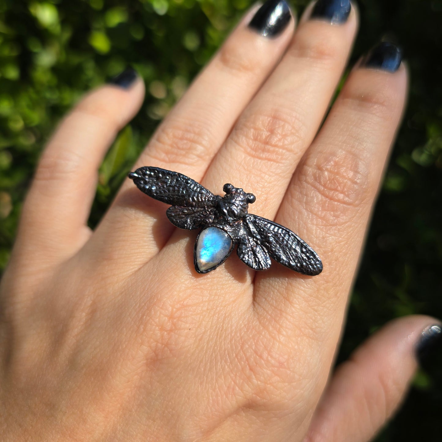 Mesquite Cicada Ring