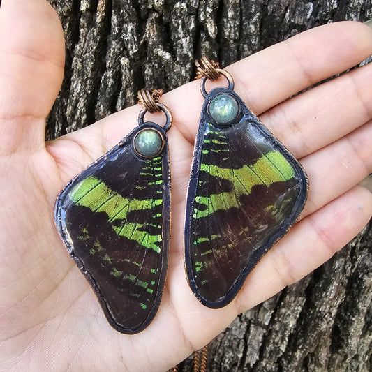 Real Butterfly Wing Necklaces #1