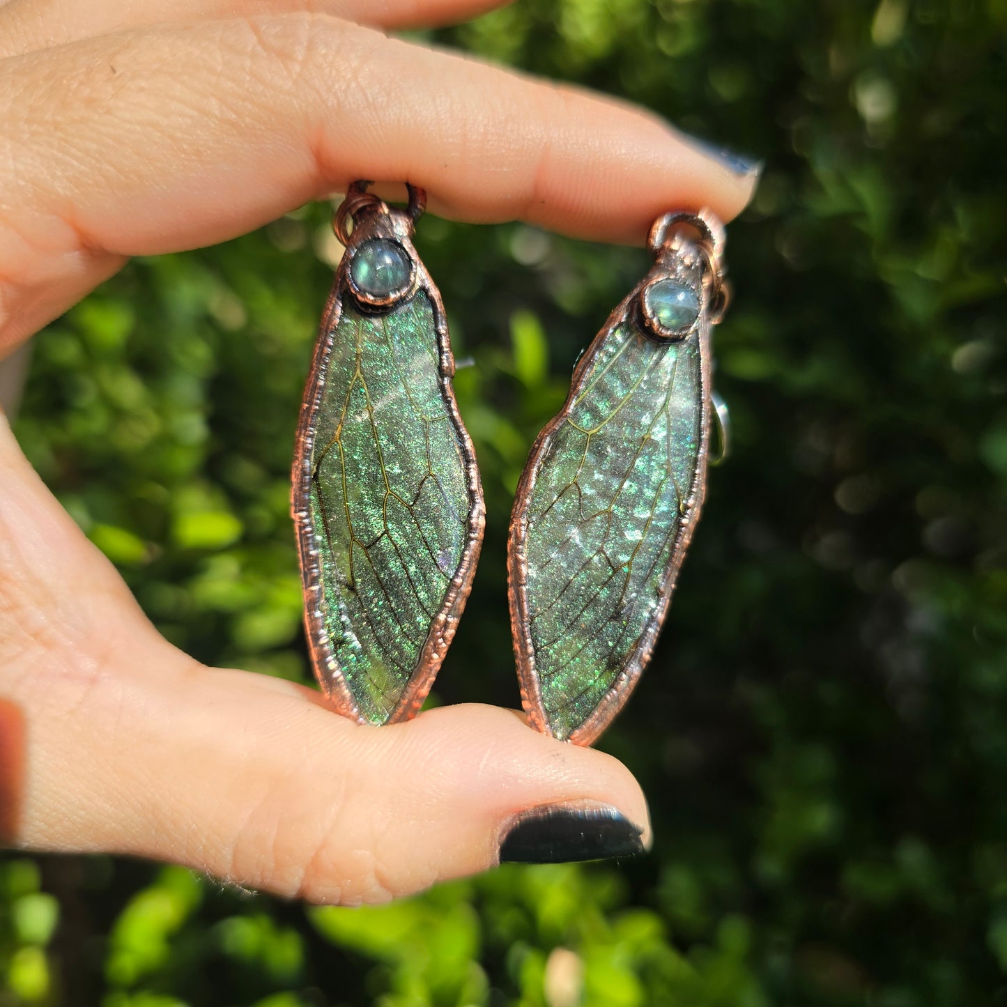 Cicada Wing Earrings