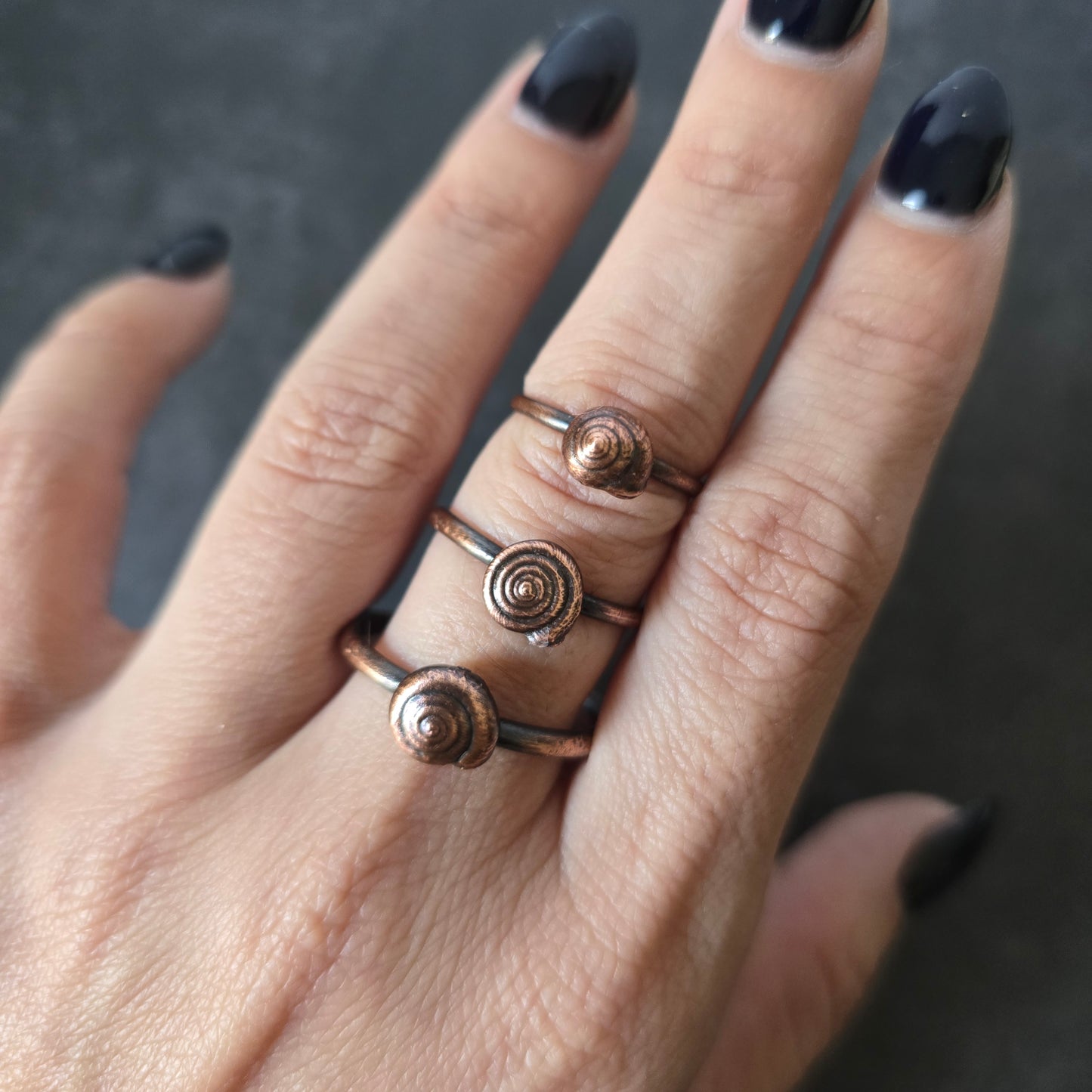Real Snail Shell Rings - From the Garden