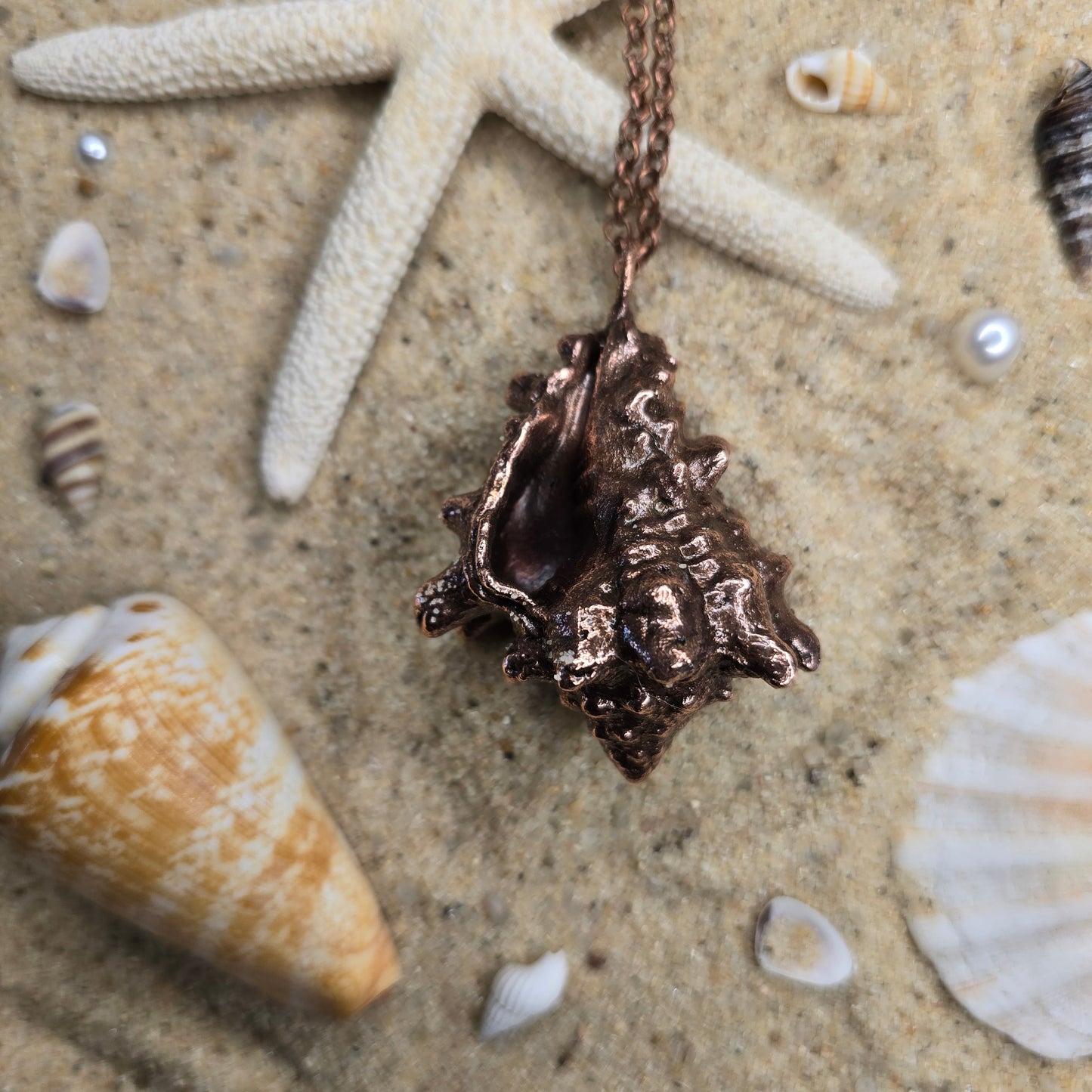 Siren's Relics - REAL Electroformed Seashell Necklace