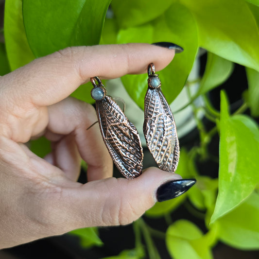 Labradorite and Cicada Wing Earrings - From the Garden
