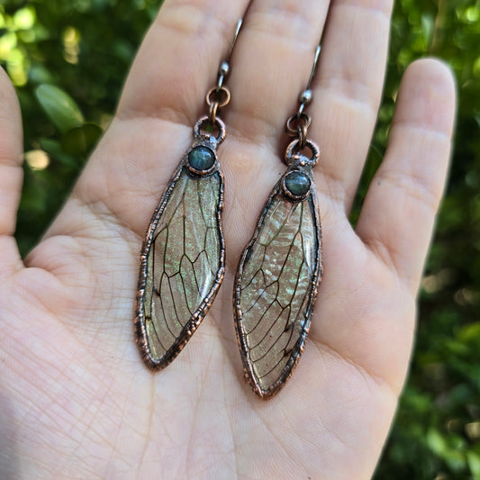 Cicada Wing Earrings