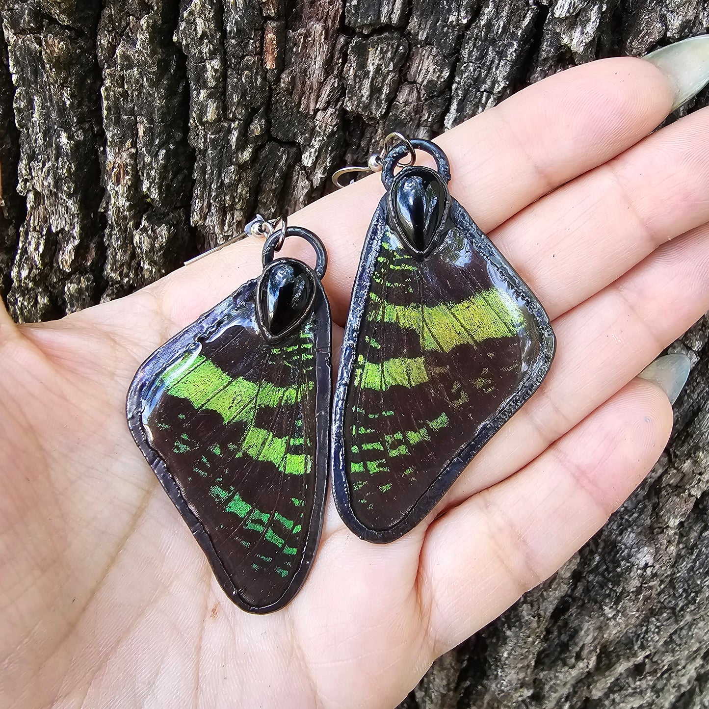 Real Butterfly Wing Earrings #2