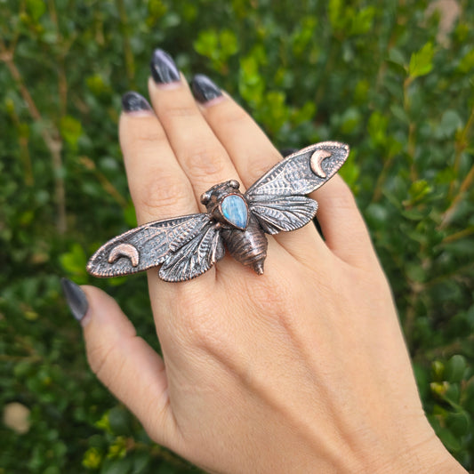 REAL Cicada Ring