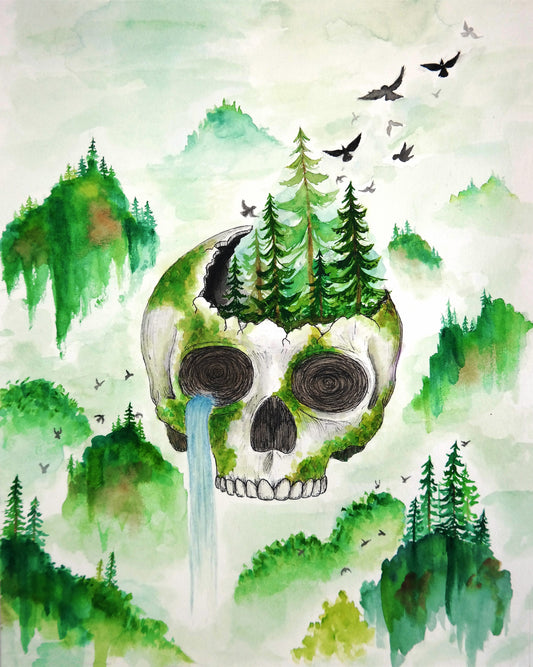 "Skull Island"